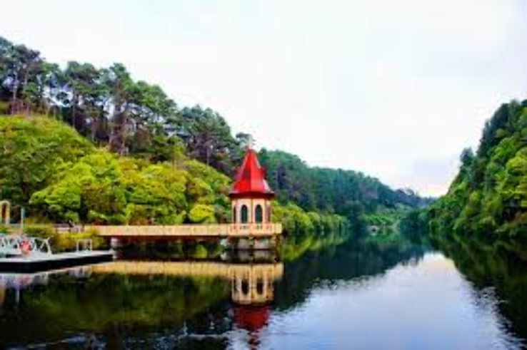 Karori Wildlife Sanctuary Trip Packages