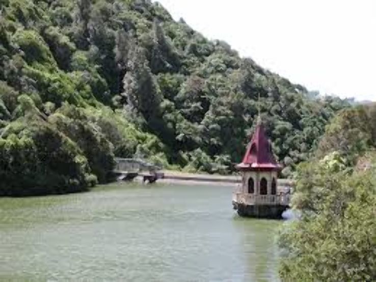 Karori Wildlife Sanctuary Trip Packages