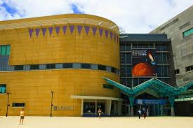 Te Papa Tongarewa? Museum of New Zealand Trip Packages