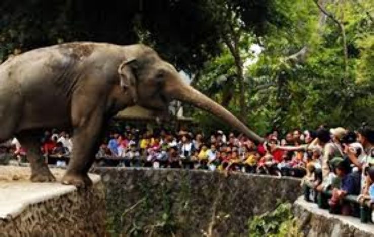 Rangunan Zoo Trip Packages