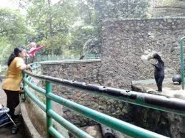 Rangunan Zoo Trip Packages