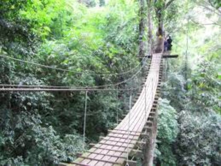 Khao Yai National Park Trip Packages