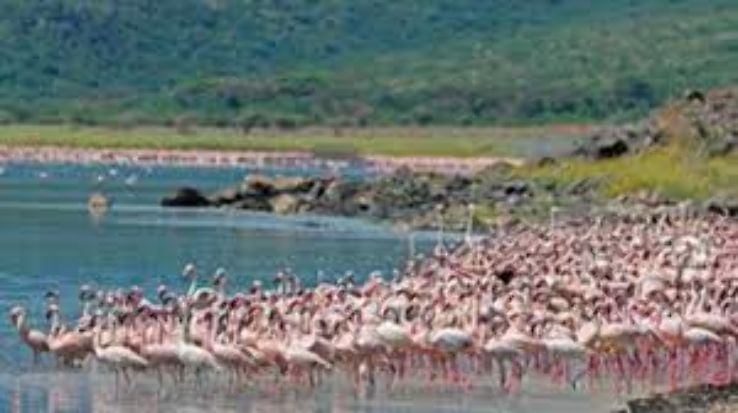 Lake Naivasha Trip Packages