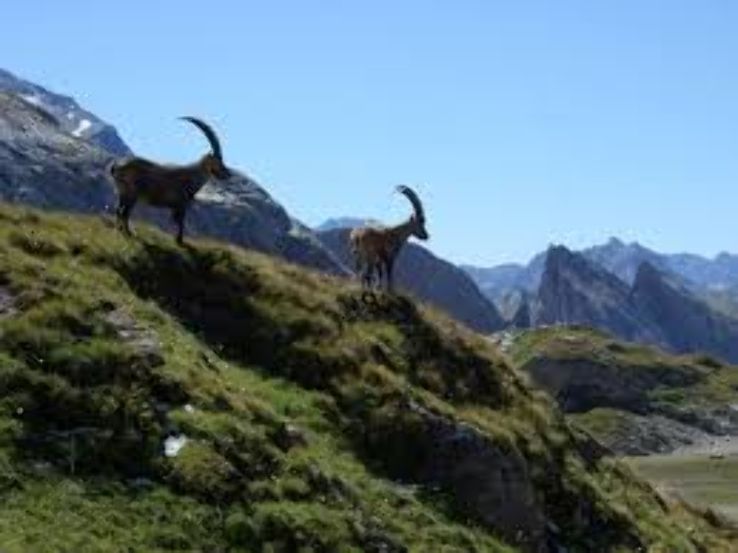 Vanoise National Park Trip Packages