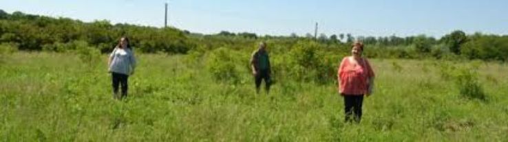 Mures Floodplain Natural park Trip Packages