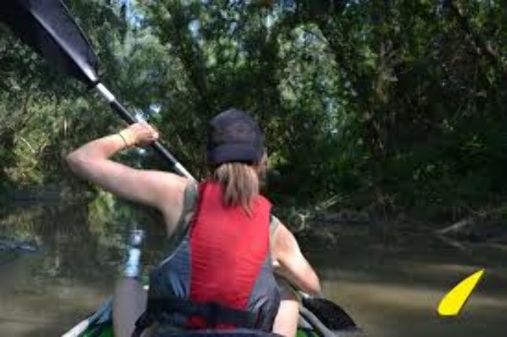 Mures Floodplain Natural park Trip Packages