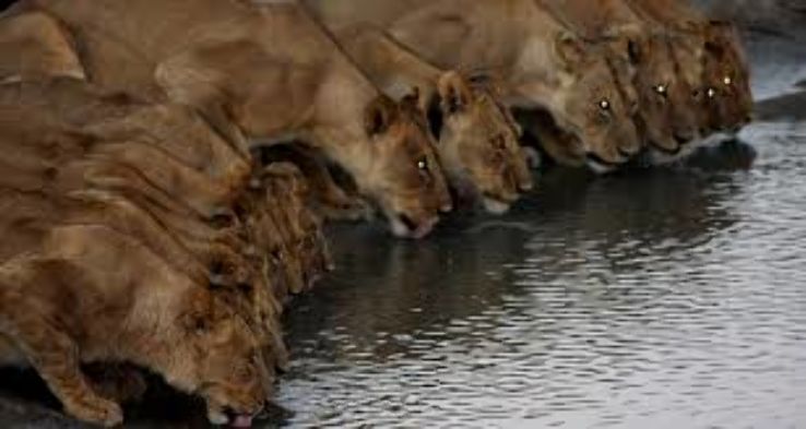 Hwange National Park Trip Packages