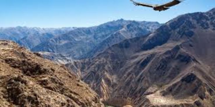 Colca Canyon Trip Packages