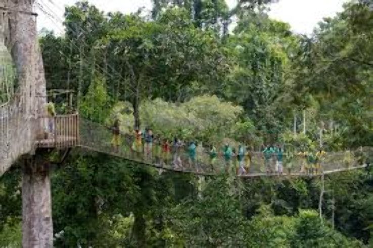 Kakum National Park Trip Packages