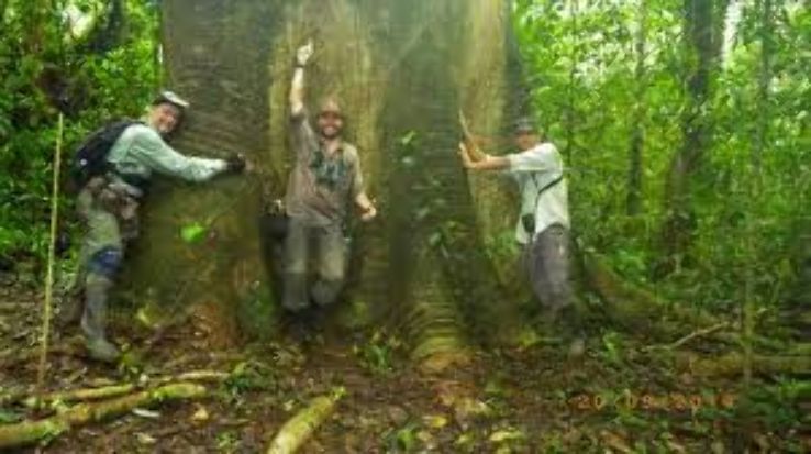 Darien National Park Trip Packages