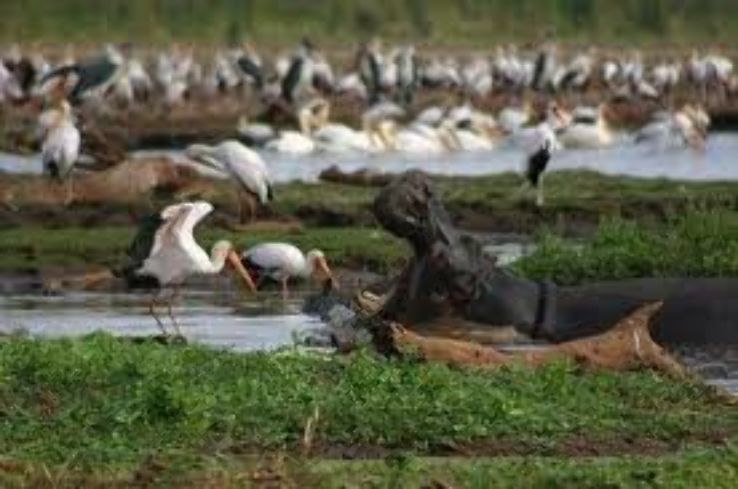 Beautiful 3 Days Arusha, Tanzania And Karatu Vacation Package