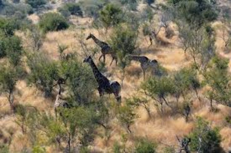 Daan Viljoen Game Reserve: Windhoek Trip Packages