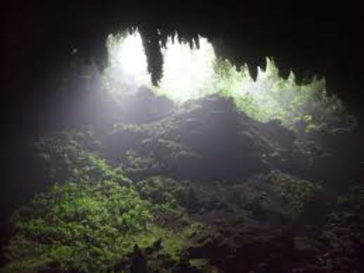 Rio Camuy Trip Packages