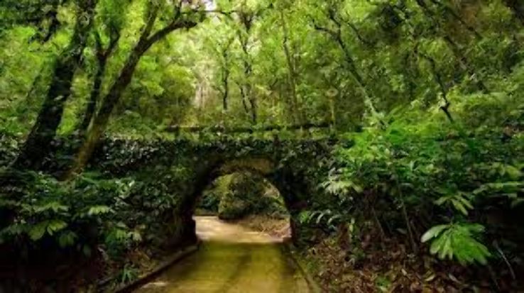 Rio Camuy Trip Packages