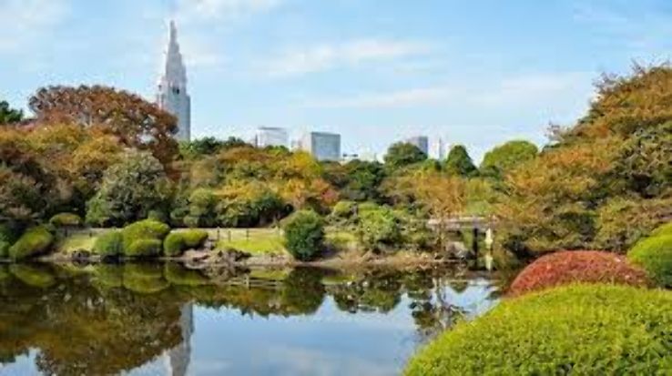 Shinjuku Gyoen National Garden Trip Packages