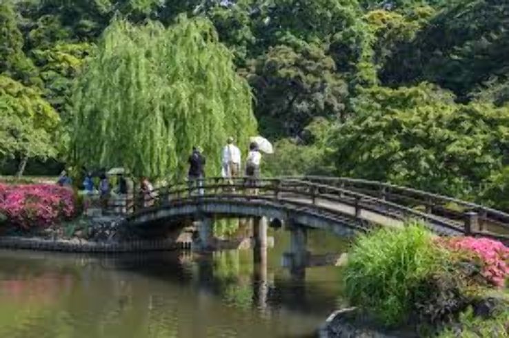 Shinjuku Gyoen National Garden Trip Packages