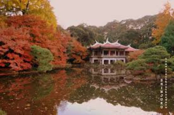 Shinjuku Gyoen National Garden Trip Packages