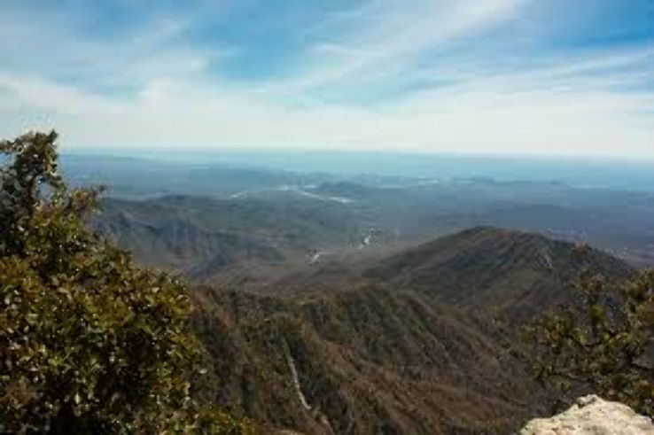 Sierra de la Laguna Biosphere Reserve Trip Packages