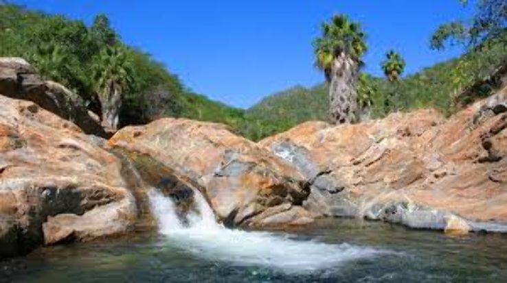 Sierra de la Laguna Biosphere Reserve Trip Packages