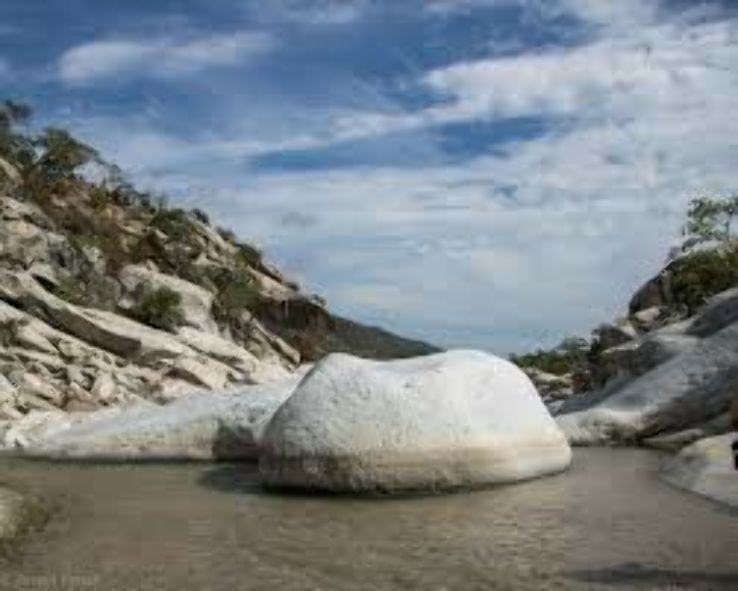 Sierra de la Laguna Biosphere Reserve Trip Packages