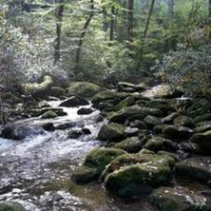 Mystical Waterfalls of St. Francisville, Louisiana:  Hidden Facets of Nature Trip Packages