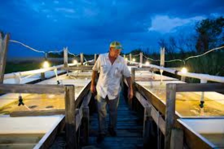 Crisfield Trip Packages