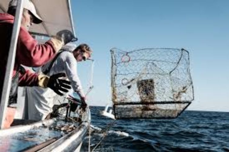 Food fest in the Smith Island, Maryland Trip Packages