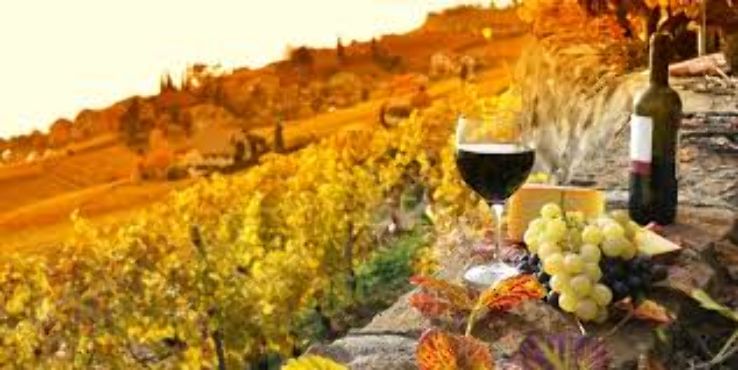 Chianti Wine Experience Trip Packages