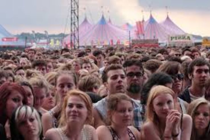 The Reading festival Trip Packages
