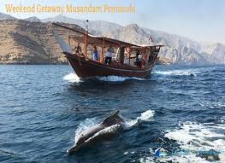 Dolphins And Dhows In Musandam Trip Packages