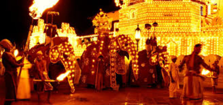 Perahera Trip Packages