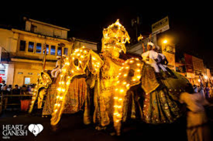 Perahera Trip Packages