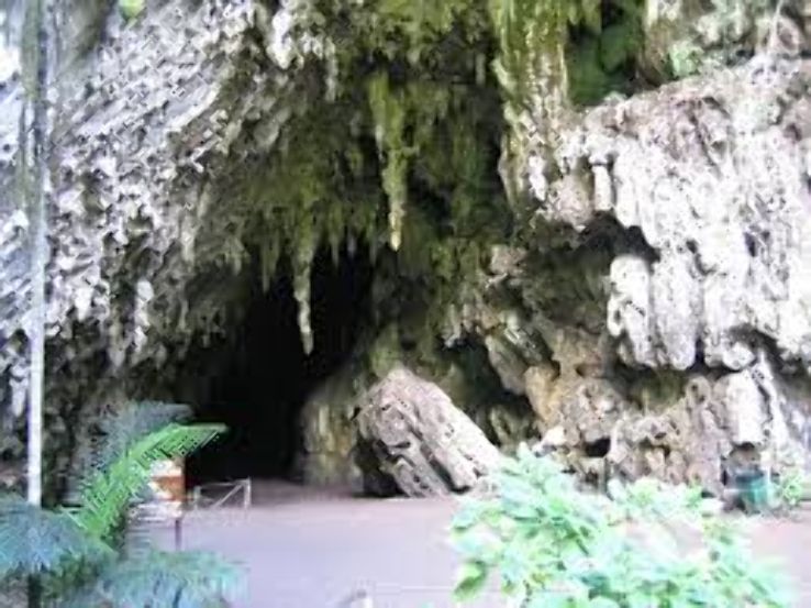 La Cueva Del Guacharo Trip Packages