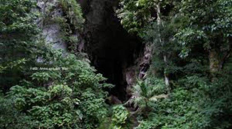 La Cueva Del Guacharo Trip Packages