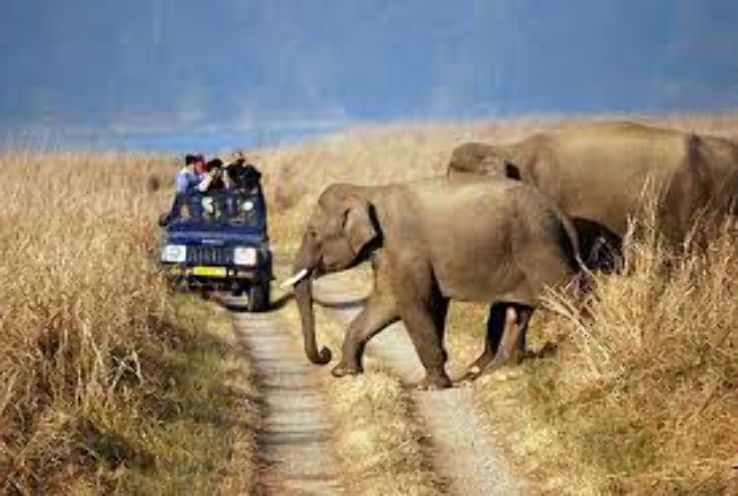 Jim Corbett National Park Trip Packages