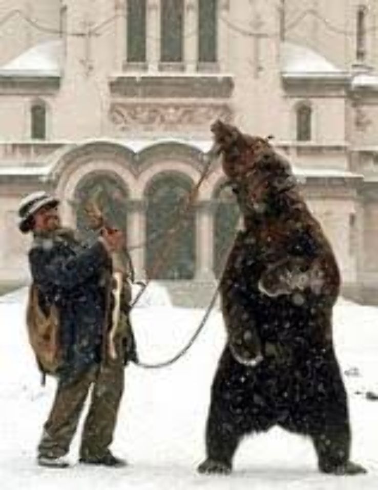 The Dancing Bears Park Trip Packages