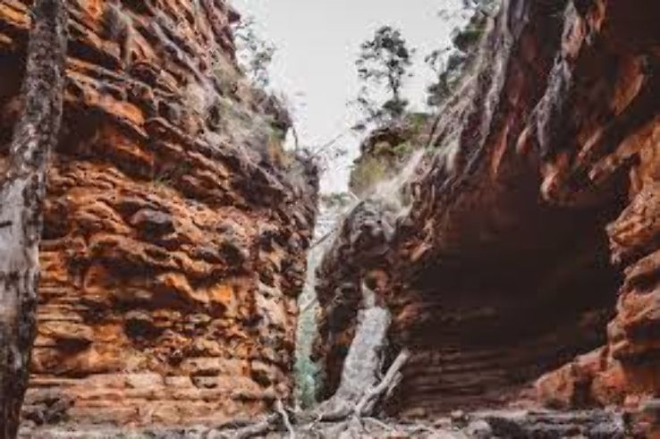 Alligator Gorge Trip Packages