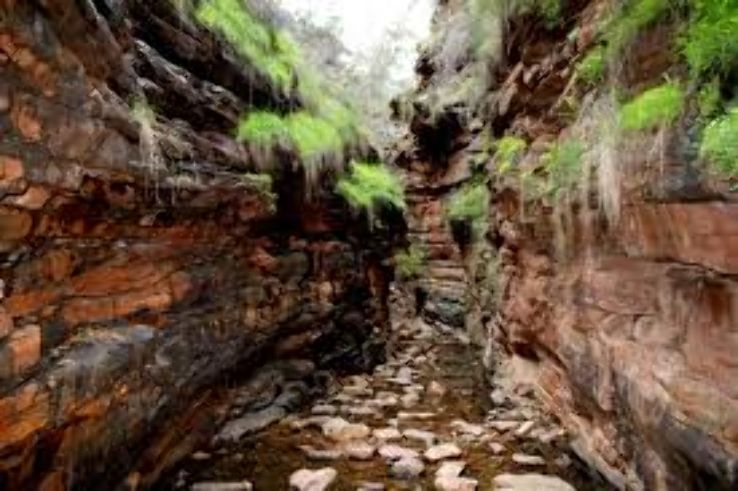 Alligator Gorge Trip Packages