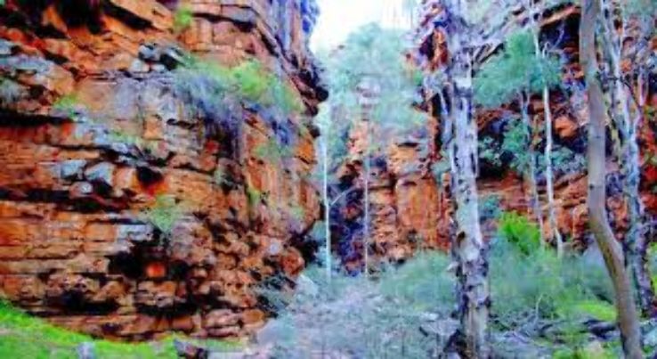 Alligator Gorge Trip Packages