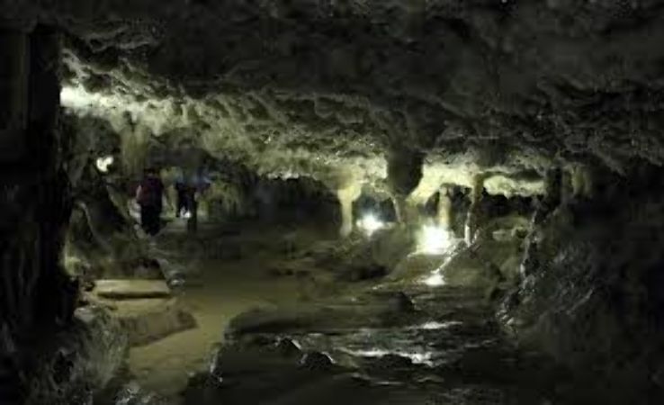 Bellamar Caves Trip Packages