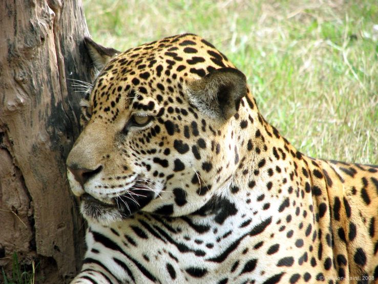Sakkarbaug Zoological Garden Trip Packages