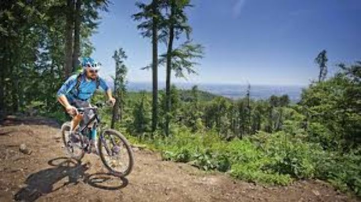 Enterprising  Zagreb in Croatia Trip Packages