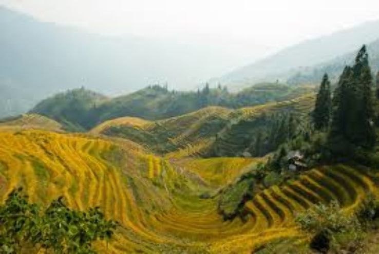 Explore the exotic landscape of Cameia National Park  Trip Packages