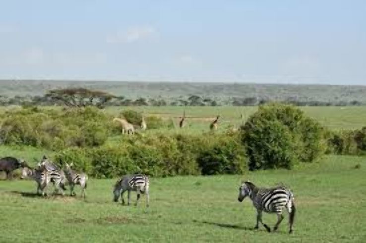 Atypical Samburu National Reserve Trip Packages