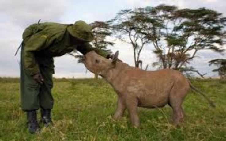 Atypical Samburu National Reserve Trip Packages