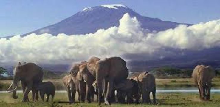 Recollecting Memoirs at Amboseli National Park Trip Packages