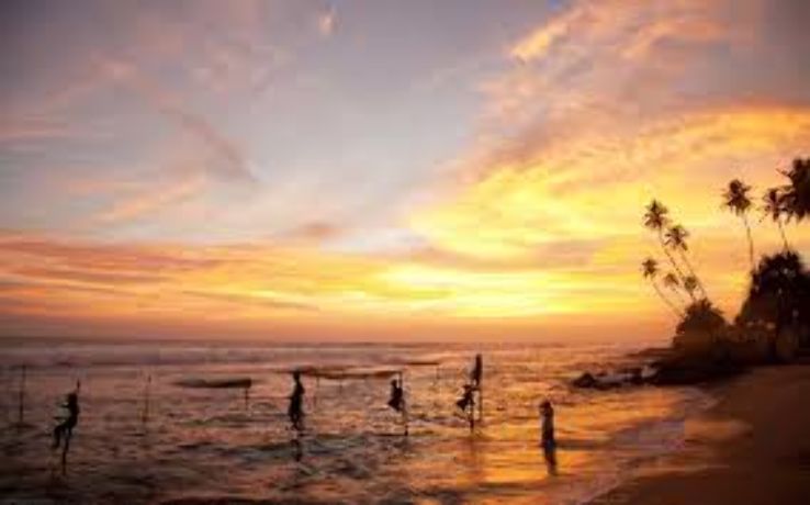 Magical 4 Days 3 Nights Srilanka Tour Package