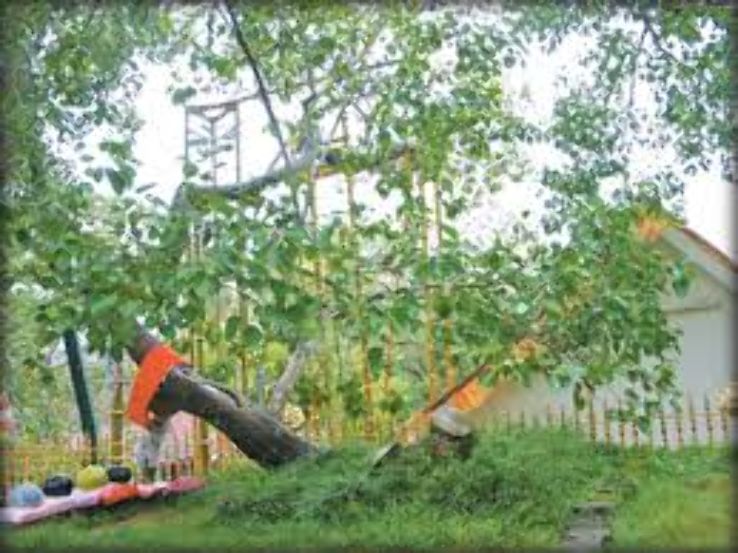 Jaya Sri Maha Bodhi- A Living Legend in Sri Lanka Trip Packages