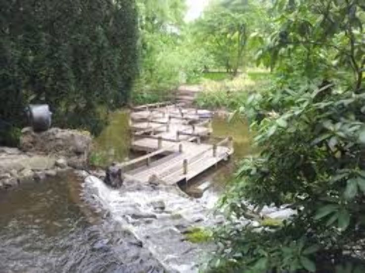 Green Vacations at Wroclaw Botanical Garden Trip Packages