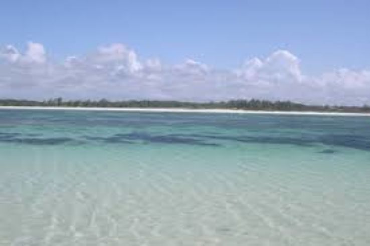 A Housefull Day at Malindi Marine National Reserve, Kenya Trip Packages